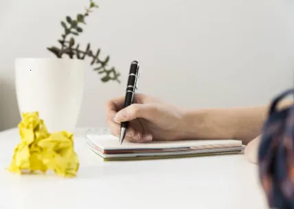 �İ�����2026�ٷ����°汾