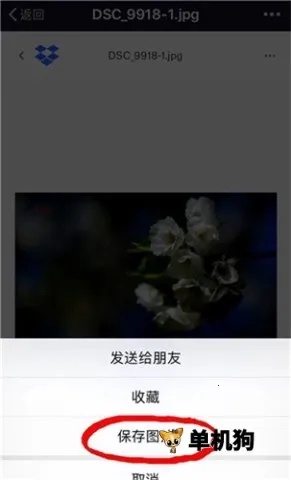 dropbox2026�ٷ�����