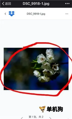 dropbox2026�ٷ�����