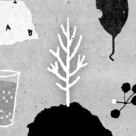 ������2026�ٷ�����