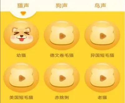 ���﷭����ȫ������