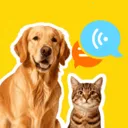 �ȳ�è����ѷ���2026���°汾