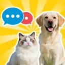 è�������﷭���������ֻ���