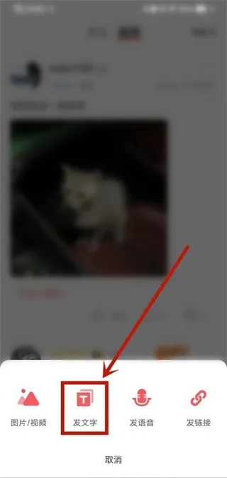 Nico交友2026下载安装 Nico交友2026下载安装