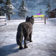 ��ģ���� 3D�����ֻ���