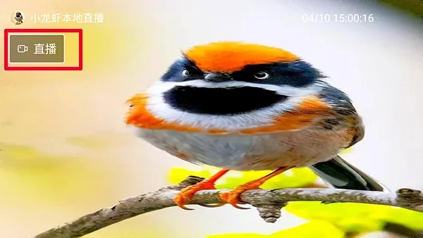 小龙虾直播最新手机版 小龙虾直播最新手机版