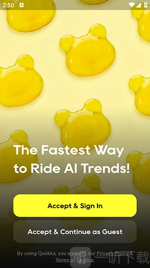 Quokka(������Ч����)