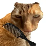 ��è��ë(è��ë������Ϸ)v1.0 �ٷ�����