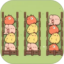 �ʱ���ǰ�������ֻ���