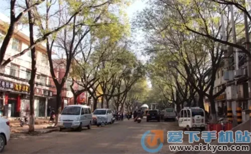ï��e���׿���ֻ���
