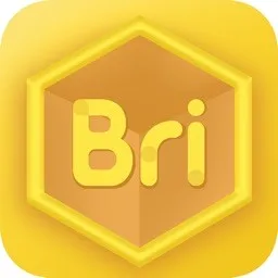Bricubeѧ��(ѧ������ѧϰ)