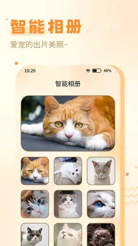 喵人猫语安卓版手机版 喵人猫语安卓版手机版
