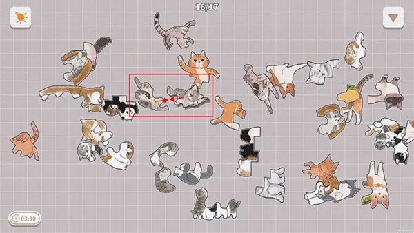 挤在一起的猫猫2026官方最新版本 挤在一起的猫猫2026官方最新版本