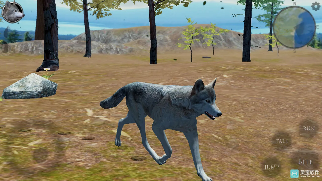 ��Ⱥģ����2026���°汾