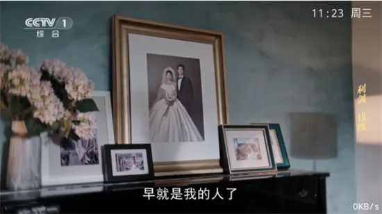 甜心TV(影视直播软件) 甜心TV(影视直播软件)