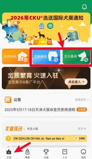 宠爱王国安卓版手机版 宠爱王国安卓版手机版