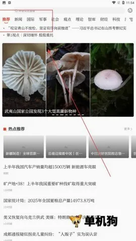 中国网最新手机版 中国网最新手机版