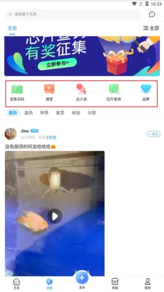 龙巅(兴趣社交平台) 龙巅(兴趣社交平台)