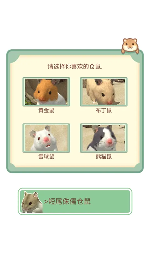 �ҵĲ���(����������Ϸ)