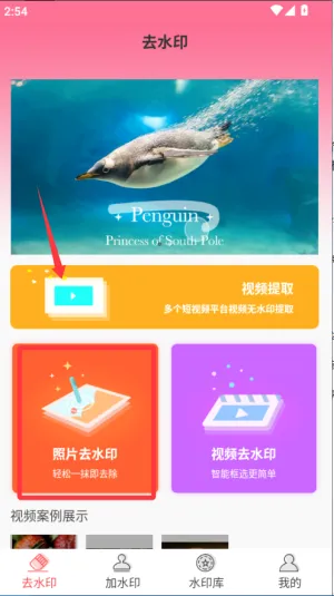 ȥˮӡ��(��ƵͼƬȥˮӡ)