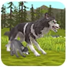 WildCraft(����ģ����Ϸ)