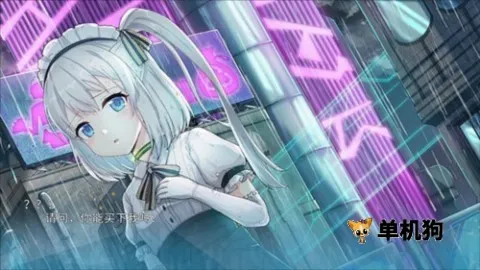 ����2026���°汾
