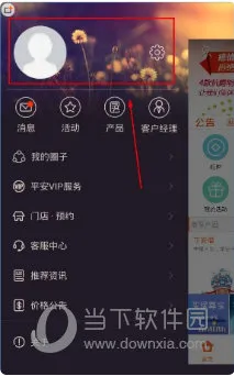 平安金管家(保险服务软件) 平安金管家(保险服务软件)