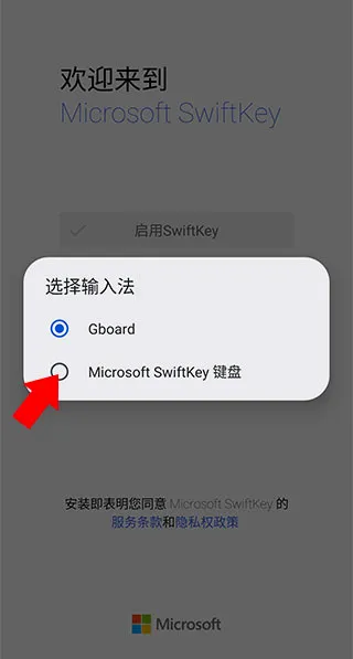 微软输入法(智能输入法软件) 微软输入法(智能输入法软件)