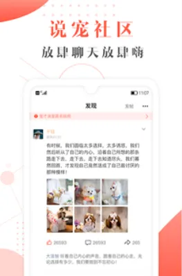 宠才宝安卓版手机版 宠才宝安卓版手机版