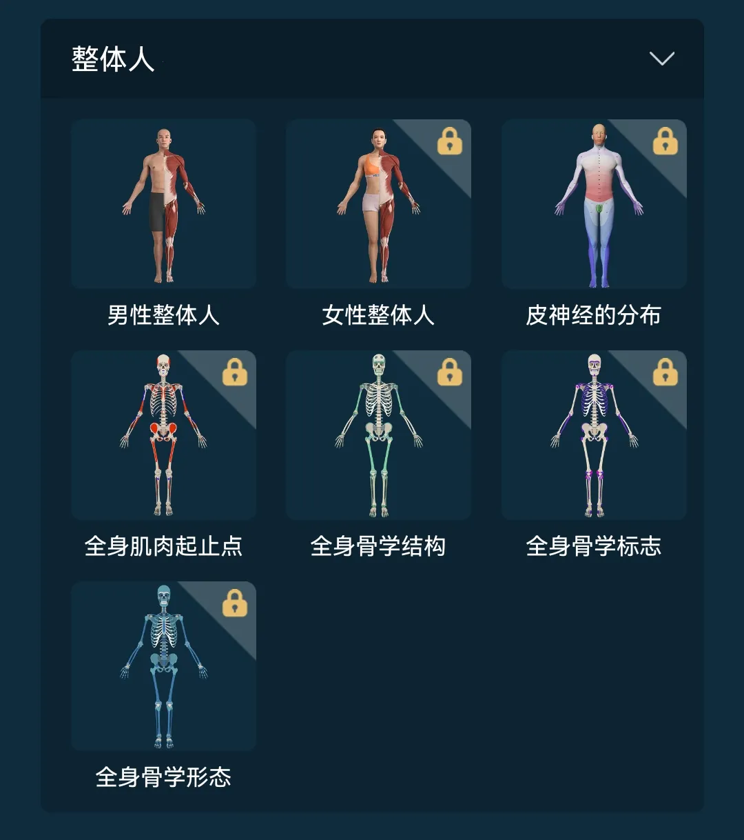 解剖大师(医学解剖平台) 解剖大师(医学解剖平台)