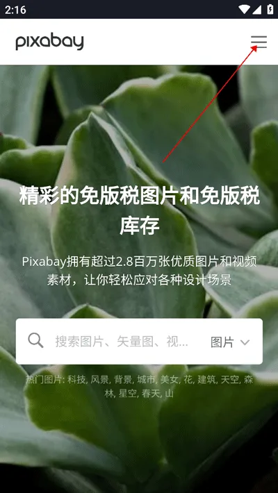 Pixabay(免版权素材平台) Pixabay(免版权素材平台)