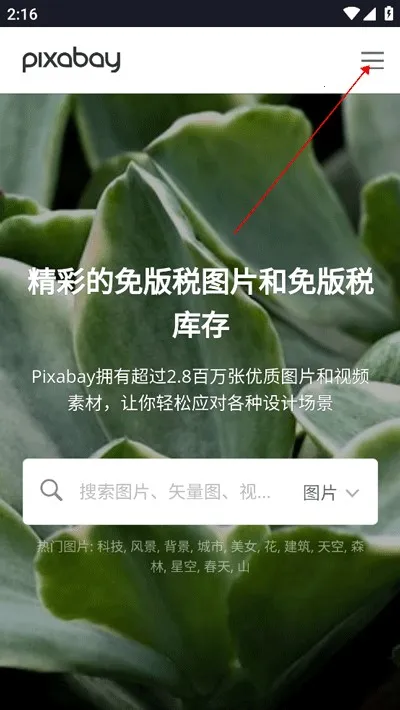 Pixabay(免版权素材平台) Pixabay(免版权素材平台)