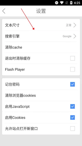 Web Browser(手机浏览器) Web Browser(手机浏览器)