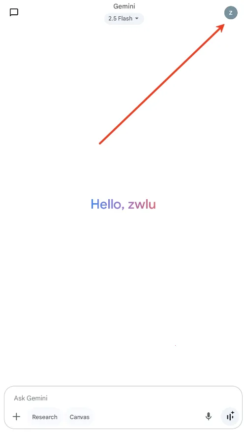 Google gemini(AI工具软件) Google gemini(AI工具软件)