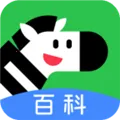 �����ٿ�2026�ٷ����°汾v2.34.0 �ֻ���