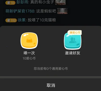 街猫(流浪猫关爱平台) 街猫(流浪猫关爱平台)