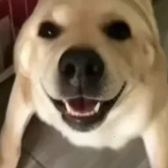 �󹷽���Ϸ������ư氲׿���ֻ���