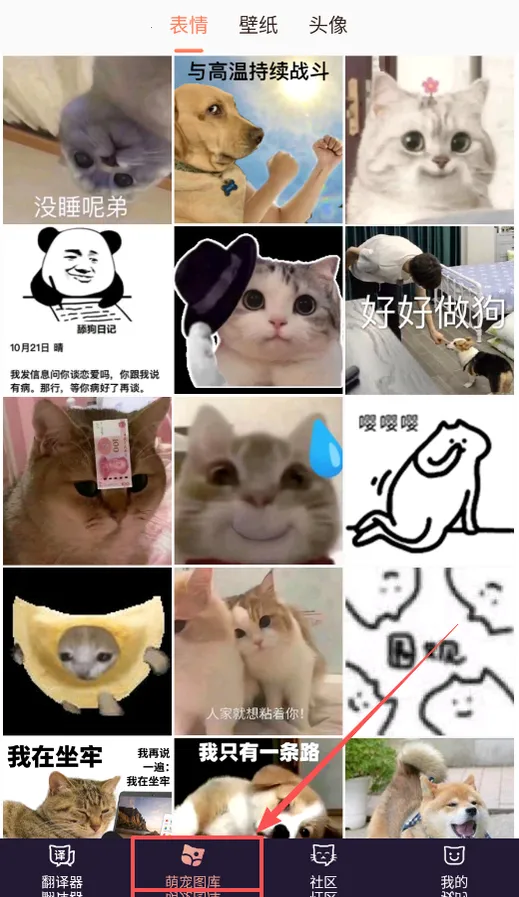 猫语翻译器2026官方最新版本 猫语翻译器2026官方最新版本